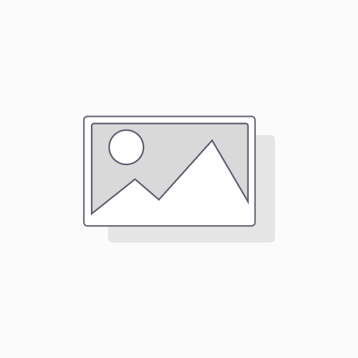 UB 209